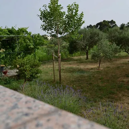 Apartman Tami - Rab Lejlighed